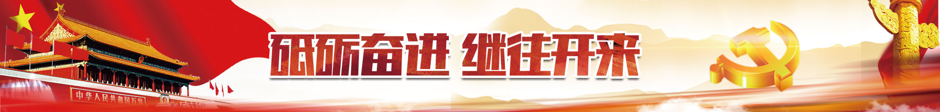 中鼎公益