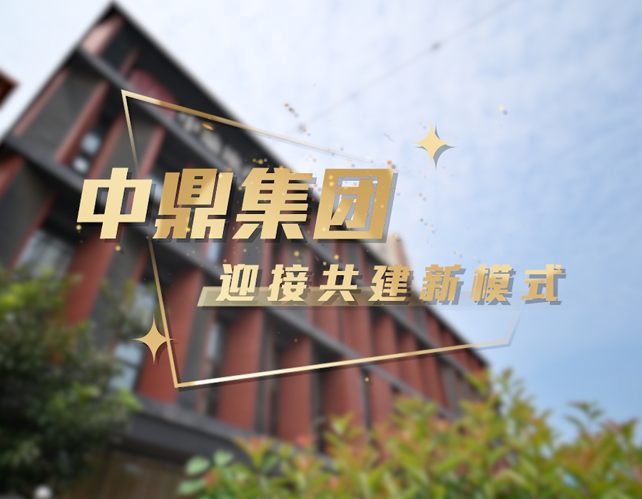 中鼎共建人物專訪 | 中鼎集團(tuán)品牌營(yíng)銷總經(jīng)理 李丙正 